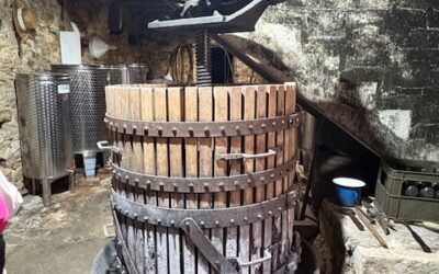 Posjet vinariji u Kaštelima